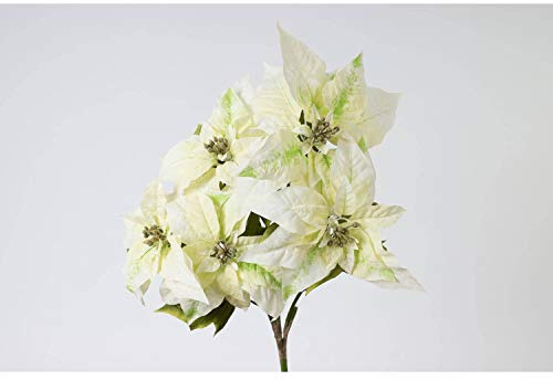 artplants.de Deko Weihnachtsstern Busch, 5 Blüten, cremefarben, 60cm - Künstliche Poinsettia - Kunstblume