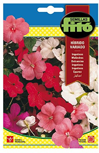 Semillas Fitó 664 - Semillas de Impatiens Híbrido Variada (Alegría de la Casa)