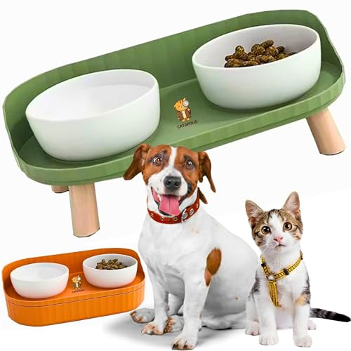 comedero Gato | Perro | Blanco Cerámica | Doble Cuenco | Tazón Mascotas | Grande (Verde)