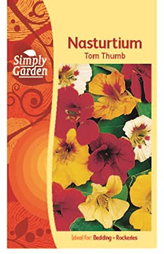 Nasturtium Seeds Tom Thumb – Compact Easy-to-Grow Annual Flowers for Garden Beds, Containers, and Patio