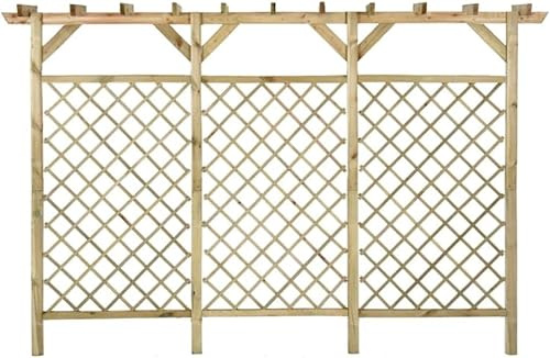 Utiny Recinzione a Traliccio con Pergolato 300x50x200cm Legno di Pino