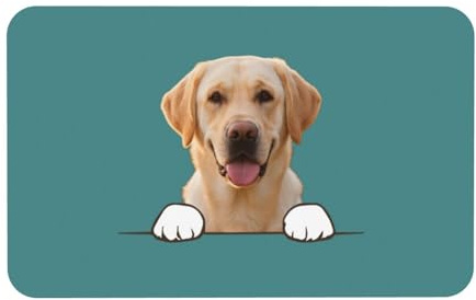 Naispanda Tapis de Nourriture pour Chien Personnalisé Set de Table Personnalisé pour Animal Domestique Set de Table pour Bol d'eau pour Chien et Chat avec Photo et Nom Antidérapant et Imperméable