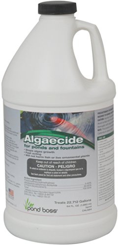 Pond Boss Algaecide, 64-Ounce