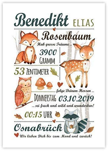 ABOUKI WALDTIERE GEBURTSPOSTER | Geburtsdatenbild Baby Kinderzimmerdekoration Geburtsbild Personalisiert Geburtsposter Personalisiert Bild Geburt Personalisiert | DIN A3 ohne Rahmen, Junge