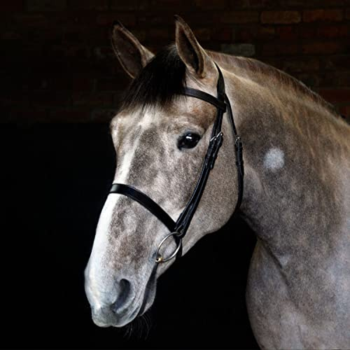 Harry Hall Cottage Craft Cavesson Bridle | Anatomical Horse Bridles | Cavesson Noseband For Pony Cob Full Extra Full | Leather Tack
