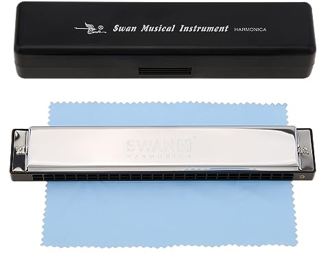OriGlam Blues Professional Mundharmonika C Tonart 24 Löcher Blues Harp Mundorgel Mundharmonika mit Etui