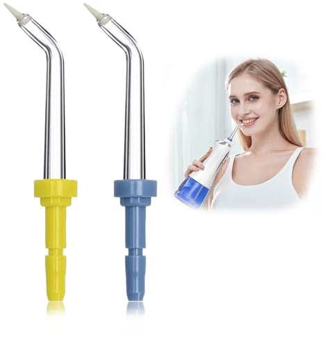 brileze Zahnseide-Ersatzspitzen für Waterpik Zahnseide, Munddusche, Düsenspitzen, Plaque-Entferner, Borstenspitzen, 2 Stück | Irrigator Jet Heads Parodontal Pocket Plaque Remover Dental Cleaner Tool for Cleaning Tooth Implantate Crowns Bridges