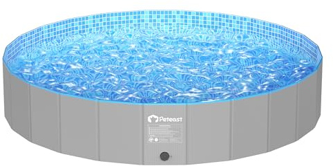 Foldable Dog Pool with Flying Disk
