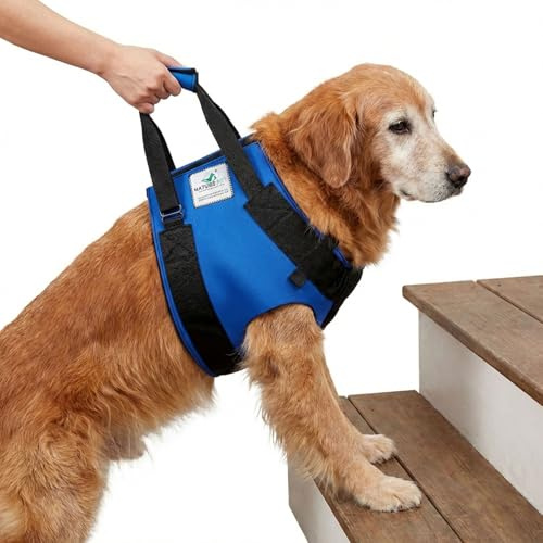 Nature Pet Tragehilfe für Hunde Vorne - Tragegurt als Treppenhilfe & Gehhilfe - Ideal für ältere, kranke oder operierte Vierbeiner - Hunde-Hebegurt für Mobilität (L, Schwarz)