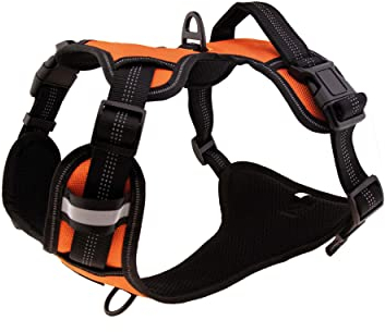 Floxik Hundegeschirr orange L | Anti Zug Brustgeschirr reflektierend & gepolstert mit Haltegriff für mittelgroße und große Hunde | Auch als Welpengeschirr geeignet