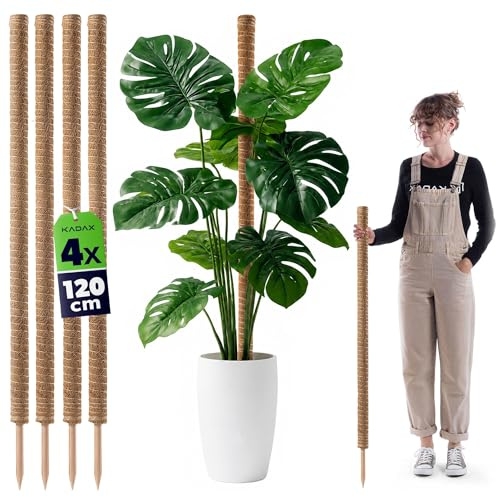 KADAX Monstera - Set di 4 bastoncini in fibra di cocco (120 cm), bastoncini di cocco e muschio per piante d'appartamento, arrampicata e supporto per piante per interni ed esterni