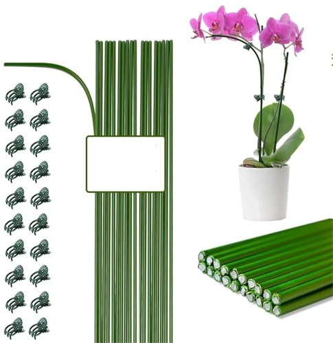 HNULGVI Växtlärare 10 st flexibla stativ med en stjälk för trädgårdsväxter, 16 tum eller 19,65, för inomhuskrukor och blommor för trädgård (Green-Set, 50 cm–10 st)