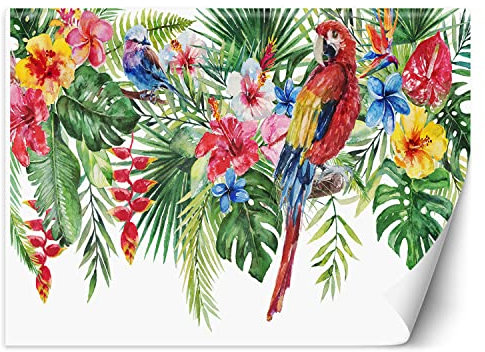 Feeby Papier Peint Intissé Ara perroquet Fleurs Feuilles Monstera 100x70 cm multicolore XXL Moderne Décoration Murale Tableaux Muraux Tapisserie Salon Chambre à coucher Tropiques Exotique Feuillage