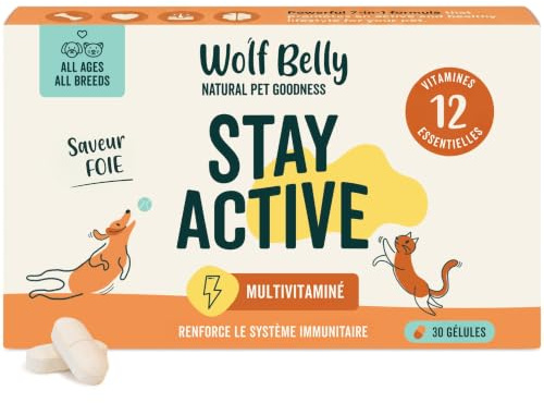 Wolf Belly - Complement Alimentaire pour Chiens et Chats Seniors +8 Ans (30 comprimés) Soutien Immunitaire et Énergétique | avec Vitamines B, C et E | Peau, Pelage et Vitalité - Fabriqué en Europe