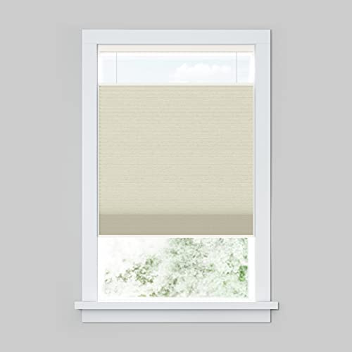 LEVOLOR Custom Cordless Top Down Bottom Up Light Filtering Cellular Window Blind Shade, Allure Collection (Daylight)