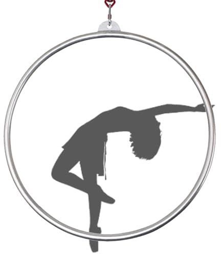Quixnova Aerial-Ringe-Ausrüstung – 85 cm Langer Single-Point-Aerial-Hoop aus Edelstahl, Yoga-Hoop aus Edelstahl für Zuhause, Fitnessstudio, Vereine – 2,5 cm Rohrdurchmesser