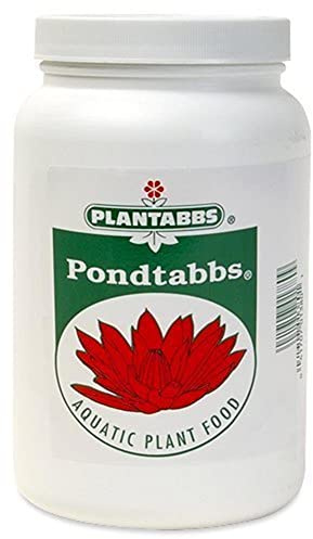 Plantabbs Products PLT0175 Lot de 20 comprimés d'engrais pour plantes de bassin