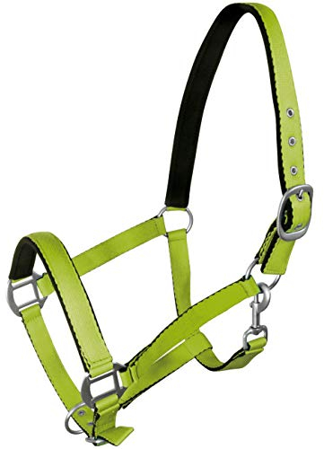 York Pferde Halfter Fluo weich unterlegt Stallhalfter Weidehalfter Reithalfter (Full, grün)