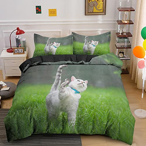 CHCHNXY Bettwäsche 200x200,Katze 3 Teilig Weich und Atmungsaktiv Bettwäsche-Set,für Jugendliche Erwachsene 1 Bettbezüge mit Reißverschluss und 2 Kissenbezug 80x80cm