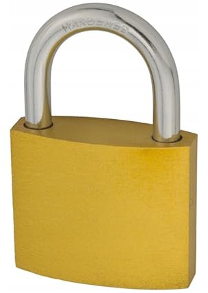 FEINZ Vorhängeschloss 50 mm 10 Stück | gleichschließend, Schloss, Gusseisen, Schlüssel für alle Schlösser, Mehrfachpack, Lager, Garage, Schuppen, Tor