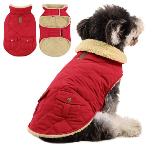 Queenmore Hundemantel für Kleine Hunde Warme Wintermantel Hund | Fleece Hundejacke Wasserdicht Quilten Hundebekleidung Winter Hundepullover für Dackel Chihuahua Pudel Bulldogge Beagle