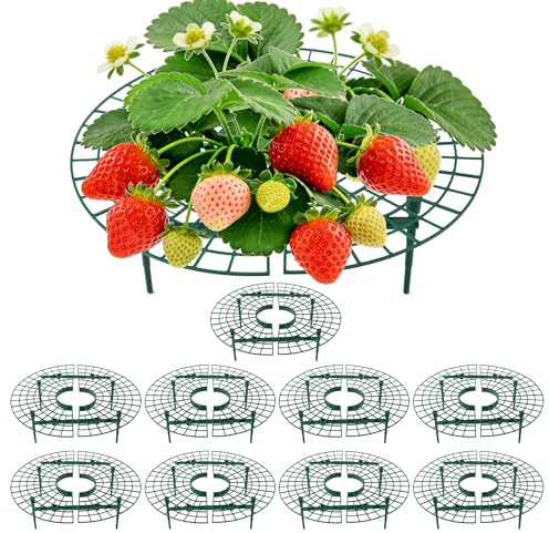 AONYIYI 10 Supporti Fragole Rotondi – 4 piedi, anti-lumaca e muffa, sostegno per fragole e orto, plastica PP riutilizzabile