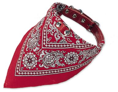 Nobby Halsband mit Tuch, rot L: 40 cm, 1 Stück