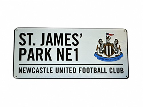 Newcastle Metal Street Sign (One Size) (Multicoloured)