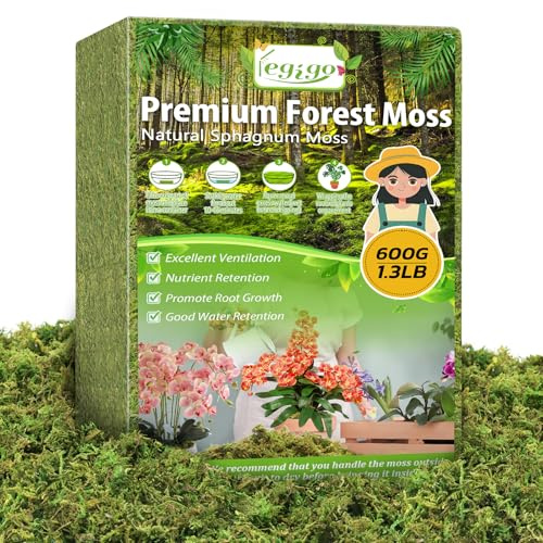 Legigo 1.3 LBS Green Moss for Plants Indoor, Crafts Moss for Artificial Plants, Decorative Dried Moss Forest Moss for Fake Potted Plants, Fairy Garden, Table Centerpieces and Terrarium Decor