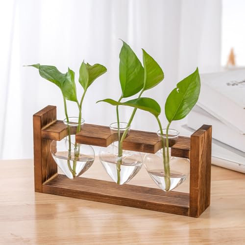 Herzform Ableger Pflanzen Glas, Kleine Blumenvase, Hydrokultur Glas, Propagation Station,Pflanzen Geschenke,Reagenzglas Vase-3A