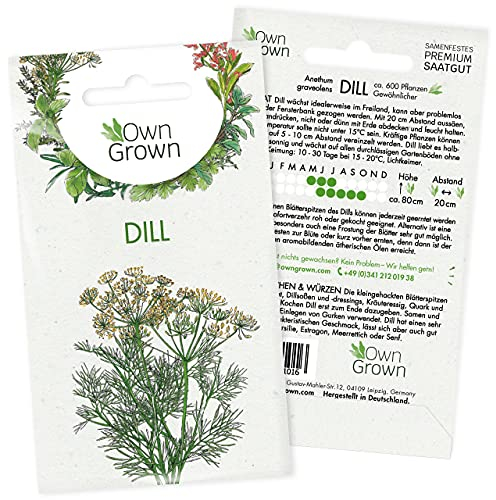 Dill Samen (Anethum graveolens): Premium Kräuter Samen für die Anzucht von ca 600 Dill Pflanzen - Dill Saatgut für Garten Kräuter und Balkon Kräuter - Wildkräuter Samen - Gartenkräuter OwnGrown Samen