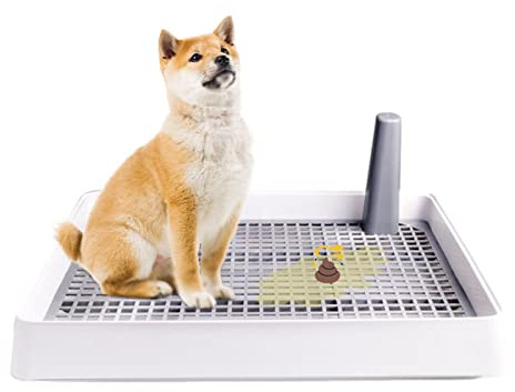 Aferzov Entrenamiento para Perros Interior para Mascotas, Soporte para Almohadilla para orina Cachorro, Orinal Malla para Inodoro para Entrenamiento Perros, Soporte