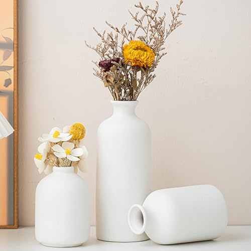 Lxoraziy Keramiska vaser set om 3 små blomvaser för inredning, minimalistisk bordsdekoration, vas för pampasgräs, blomvas för vardagsrum, sovrumsdekoration, enkel nordisk stil (vit)