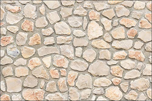 Muralo Fototapete Steinwand 300 x 450 cm Vlies Tapete Wandtapete Steinoptik Mauer Beige Wohnzimmer Schlafzimmer Moderne Wandbild Steinoptik 3D Wand Dekoration