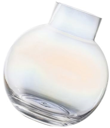 DECHOUS 1stück Blumen Vase Aus Glas Dekorative Tischvase Für Hydroponik Für Blumenarrangements Praktisches Deko-objekt Für Zuhause Kugel-Design Bunten Farben