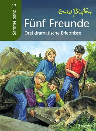 Fünf Freunde - Drei dramatische Erlebnisse: Sammelband 12: Fünf Freunde im Dschungel; Fünf Freunde und der verdächtige Professor; Fünf Freunde entlarven den Betrüger