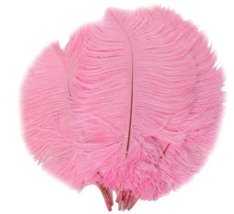Uposao 2 Stück Natürliche Straußenfedern,20-25cm Federn Zum Basteln Bastelfedern Strauß Feder Dekofedern DIY Basteln Zubehör für Hochzeitsdekoration Party Tischdekoration Zuhause Dekor,Rosa