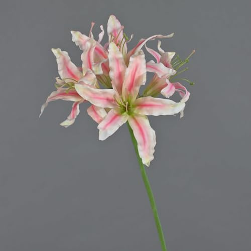 artplants.de Deko Gartenamaryllis KUSTANA, rosa-Creme, 70cm, Ø20cm | Kunstblume Amaryllis