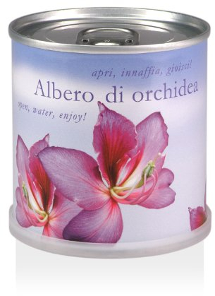 Extragifts Flowers In A Tin – Orchid Tree (Bauhinia Purpurea)