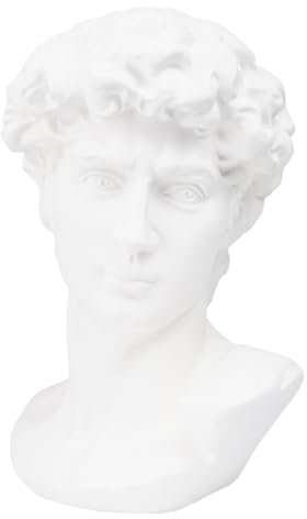 TOPBATHY Kreative Skulptur Aus Harz David Statue Für Heimdekoration Lehrmittel Langlebig Stilvoll Weiße Büste Für Skizzen Und Kunstwerke