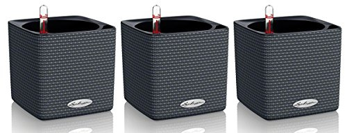 Lechuza Cube Color 14 Pflanzgefäß mit ERD-Bewässerungs-System, Schiefergrau, 14 x 14 x 14 cm, 3er-Set