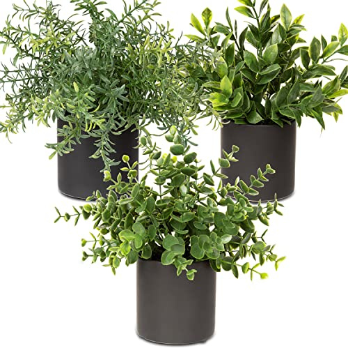 Oairse 3er Set Kunstpflanzen im Topf, kunstpflanzen wie echt mit Keramiktopf, eukalyptus Mini künstlich rosmarin Pflanze für deko Wohnzimmer Zimmer tischdeko Badezimmer Schreibtisch Küche Garten Deko