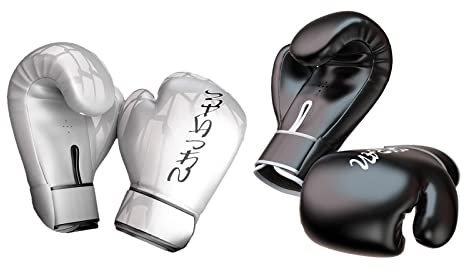 barenx 2 Paar Box Handschuhe Sparring MMA Muay Thai Workout Fight Punching 284 g