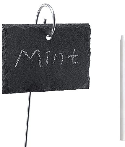 Navaris Set 10x Etichette per Piante in Ardesia 10x7cm - Cartellini Segnanome con Asta 40cm - Targhette in Pietra Scrivibili Giardino Orto - 2X Gesso