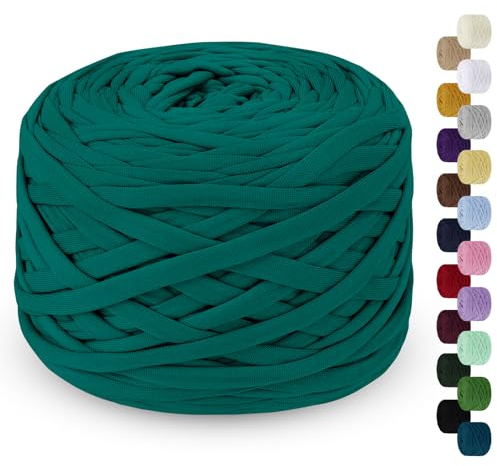 LEREATI Fettuccia per Borse a Uncinetto 285g/100m Cordino per Borse Uncinetto, Filato Cordoncino per Cestini, Tappeti, Fai da Te, Decorazioni, Artigianato (Verde Lago)