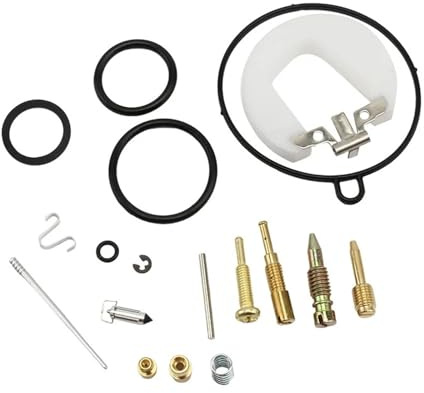 RVIFY Filtro de Gasolina Kit de reparación y reconstrucción de carburador PZ19 de 19 mm para Motocross, Quad, ATV, Karts, Buggy, Motocicleta y Motocross.