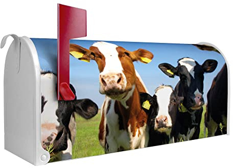 banjado Amerikanischer Briefkasten - US Mailbox/Letterbox mit Motiv Motiv Kühe 51x22x17cm - Postkasten Stahl aus Amerika – Briefkasten amerikanisch weiß pulverbeschichtet