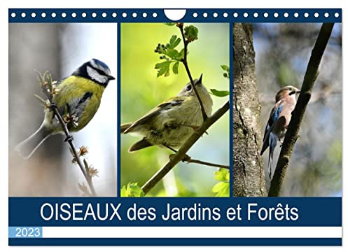 OISEAUX des Jardins et Forêts (Calendrier mural 2023 DIN A4 horizontal): Différentes rencontres avec nos amis à plumes (Calendrier mensuel, 14 Pages )
