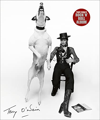 Terry O'Neill's Rock 'n' Roll Album: The A-Z of Rock ‘n’ Roll