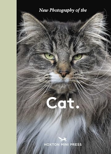 New Photography of the Cat.: The best new photography of cats.
